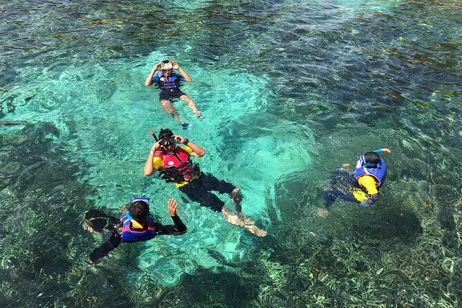 Poreč Panorama and Snorkeling Tour - Schedule
