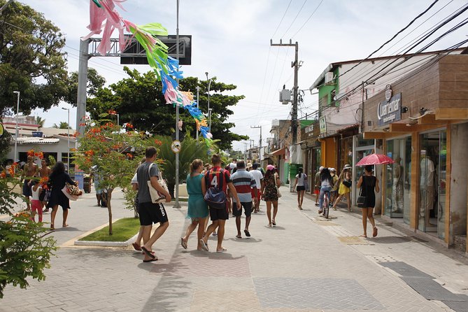 Porto De Galinhas Day Trip - Accessibility and Public Transportation