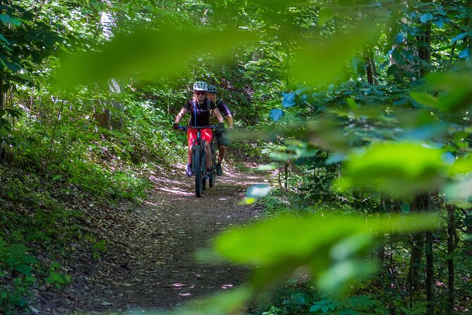 Prague E-Mountain Biking Adventure In The Bohemian Paradise - Scenic Viewpoints and Trails