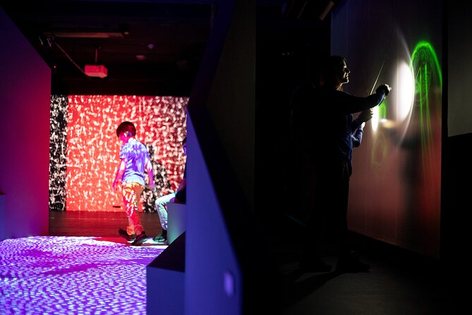 Prague Lumia Light Show With Gallery Ticket - Accessibility and Participation