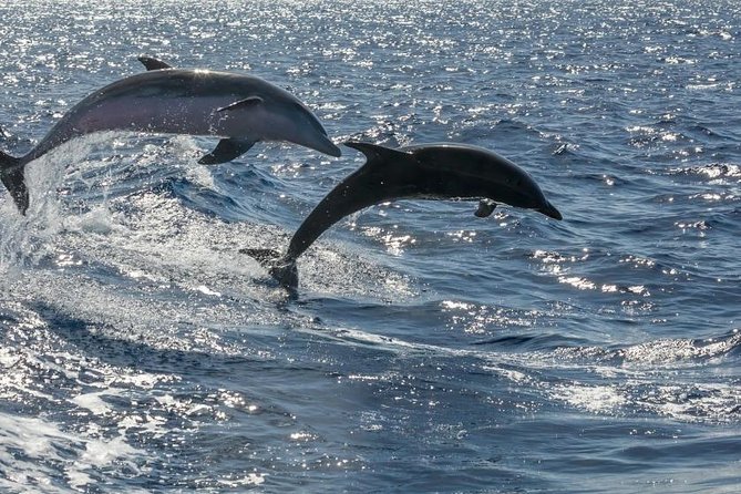 Premium Yacht Private Charter - Booking Information