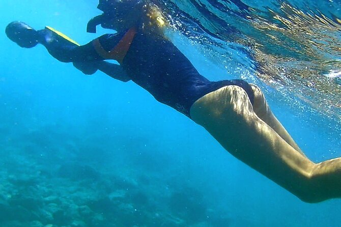 Princeville - Snorkeling Shore Excursion - Health and Safety Requirements