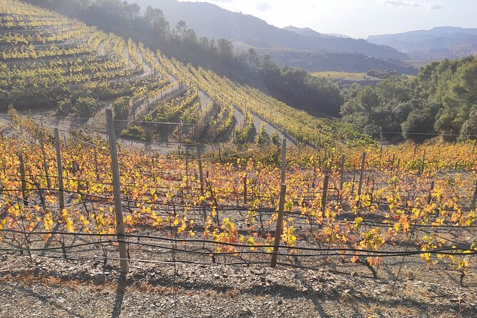 PRIORAT MEDIEVAL PRIORAT Full Day Tour Siurana and Escala Dei - Local Attractions