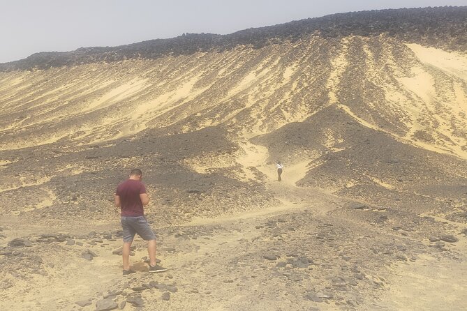 Privat White Desert and Bahariya Oasis 2 Days With Camping - Transportation and Logistics