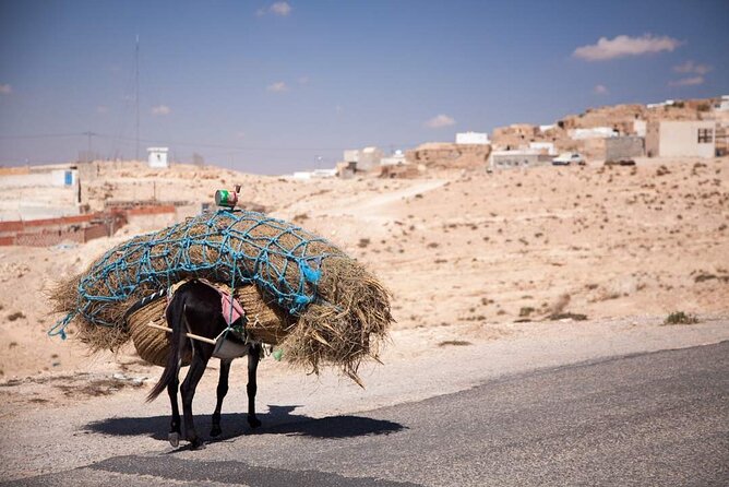 PRIVATE 2 Day SAFARI (Ksar Ghilane and Atlas Mountains) From Jerba - Reviews and Ratings