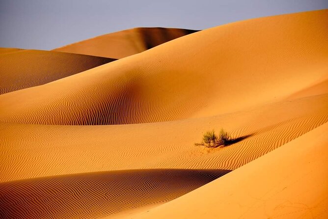 Private 2 Days 1 Night Wahiba Sands Desert and Wadi Bani Khalid Tour - Accessibility and Participation