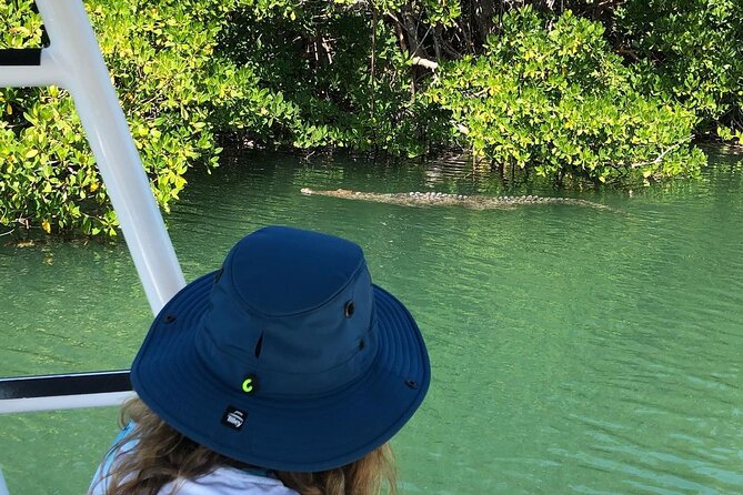 Private 2 Hour Mangrove Ecotour - Booking Details