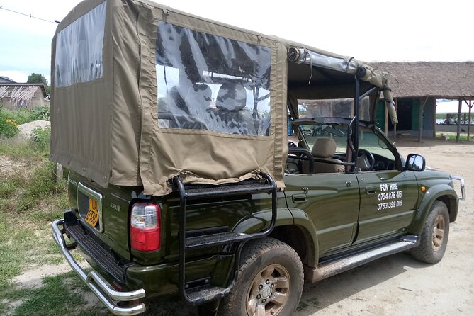Private 3-Day Tour in Queen Elizabeth Park Safari - Safari Activities