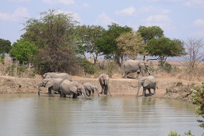 Private 3 Days 2 Nights Mikumi Adventures - Inclusions and Exclusions