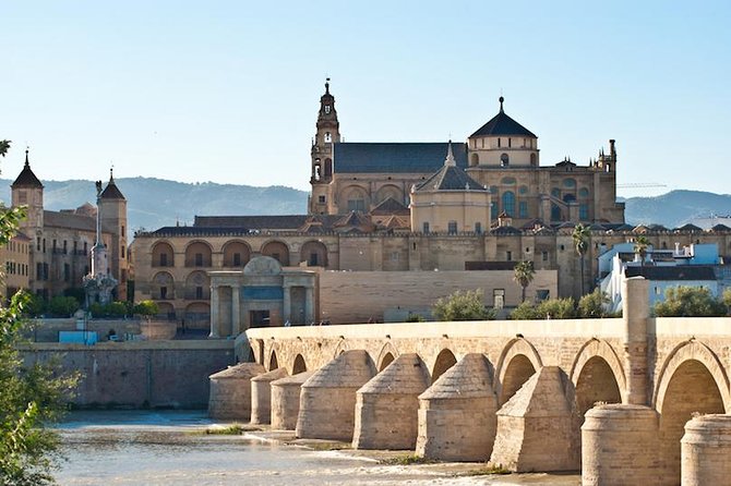 Private 3-Hour Walking Tour of Cordoba With Official Tour Guide - Tour Reviews