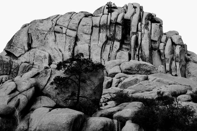 Private-36 Hour Adventure in Joshua Tree National Park - Essential Gear and Equipment