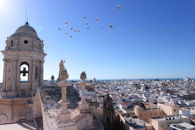 Private 8-Hour Tour to Cadiz From Seville With Hotel Pick up and Drop off - The Sum Up
