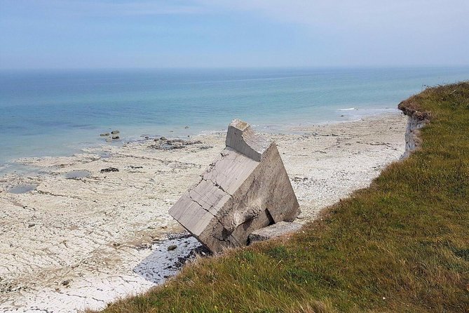 Private 8-Hours Tour to US Landing Beaches From Le Havre - Exceptional Tour Guide Feedback