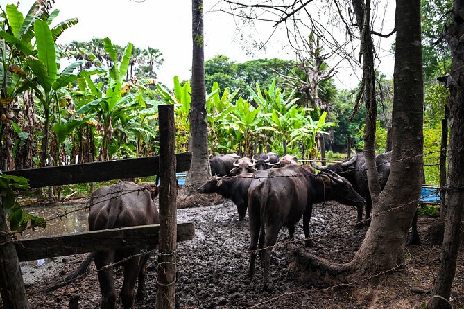 Private Angkor Sunrise Bike Tour Supported By Minivan - Cancellation and Reservation Policy