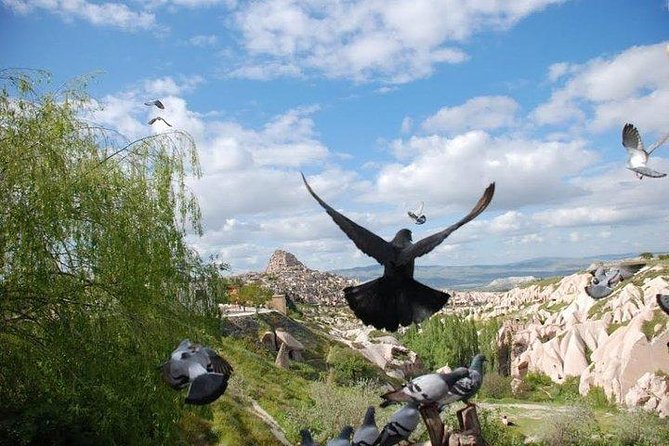 Private Arrival Transfer: Kayseri or Nevsehir Airports to Cappadocia Hotel - Vehicle Amenities