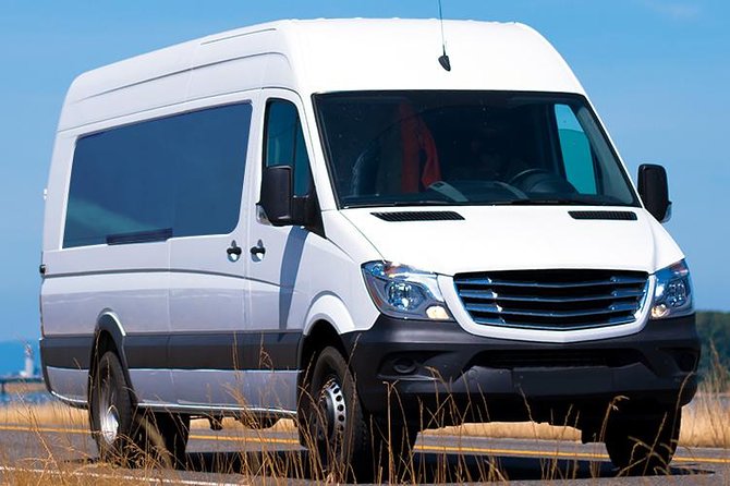 Private Arrival Transfer: Santo Domingo International Airport to Hotels (1 - 4) - Safety and Security Measures