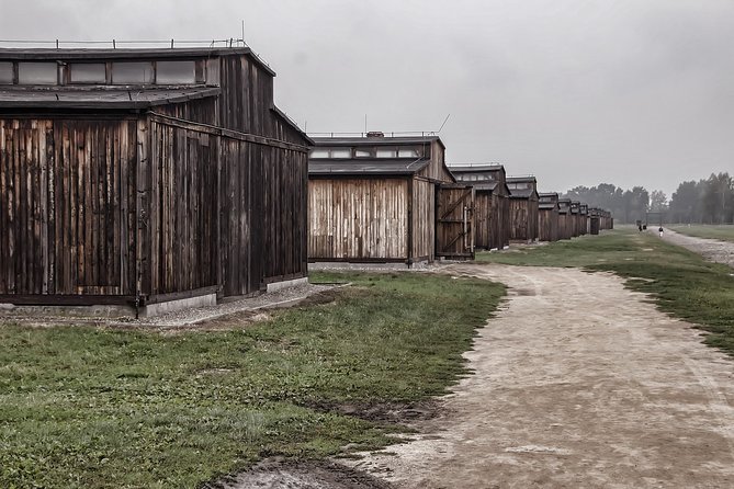 Private Auschwitz-Birkenau and Salt Mine Tour From Krakow - Ask Away