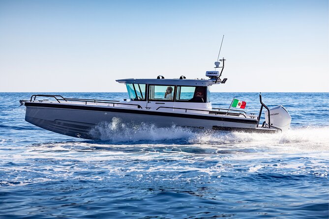Private Axopar 37 Motoryacht Cruise in Santorini W/ Snack & Drink - Accessibility and Participation Information