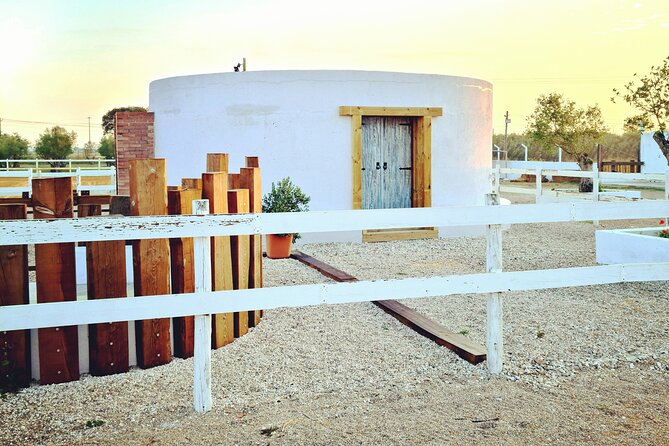 Private Bachelorette Party With Horseback Riding on the Beach - Pricing and Cancellation Policy