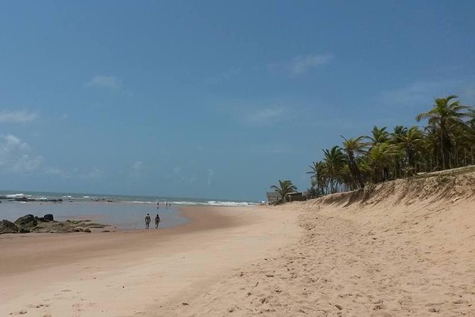 Private Beach Buggy Tour - Praia Do Forte by Emytour - Questions About Your Stay
