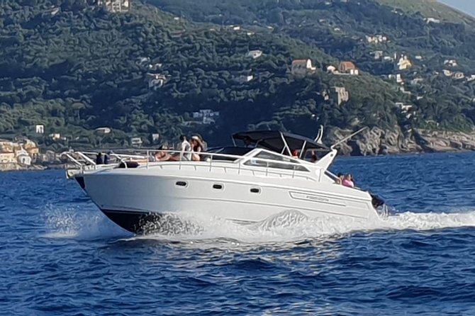 Private Boat Tour of the Amalfi Coast From Sorrento - MSH - Schedule and Accessibility