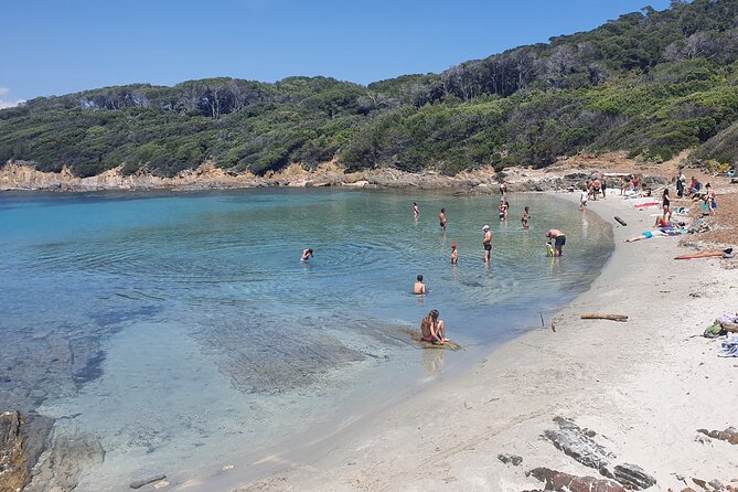 Private Boat Trip Around the Island of Port Cros. - Pricing and Inclusions