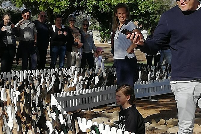 Private Cape Winelands Guided Full Day Tour From Cape Town - Indulgent Wine, Cheese, and Chocolate
