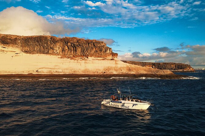 Private Charter 3 Hours Whale Encounter Puerto Colon Adeje - Accessibility Features