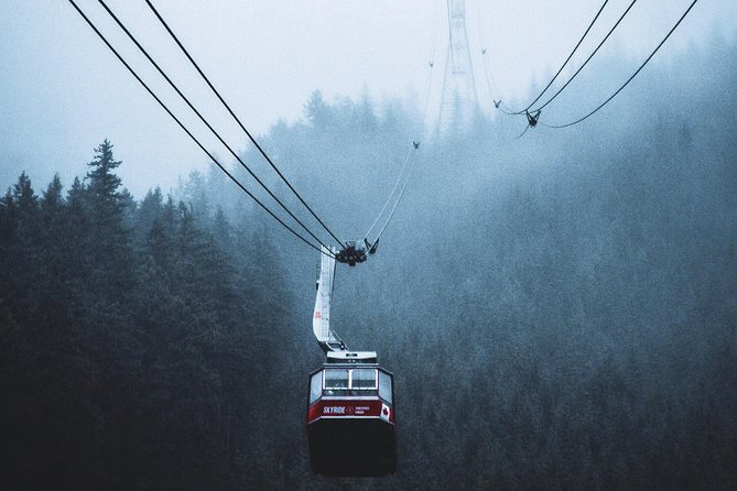 Private Charter Tour to Explore Vancouver and Surrounding Area - Entrance Fees and Food