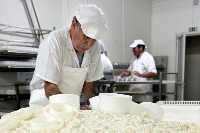 Private Cheese Factory Visit, Tile Painting and Wine Tasting Tour - Engaging With Artisanal Crafts