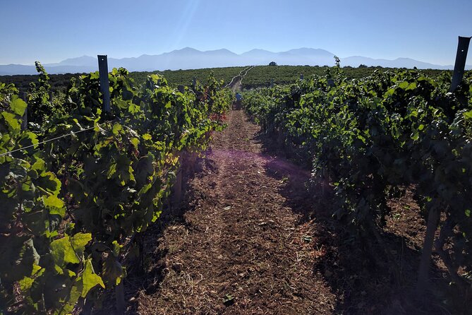 Private Cretan Gastronomic Experience Winery Visit With Tastings & Cooking Class - Booking and Cancelation