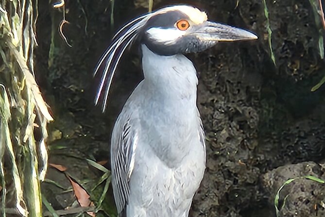 Private Crystal River Wildlife Boat Tour - Customer Testimonials