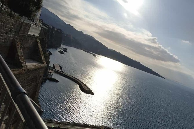Private Day Tour to Pompei ,Winery, Sorrento From Napoli/Salerno/Amalfi/Positano - Personalized Private Transportation