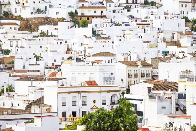 *Private Day Trip* From Jerez: the White Towns of Andalusia - Recommendations