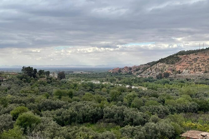 Private Day Trip of Ourika Valley & Atlas Mountains - Tour Logistics