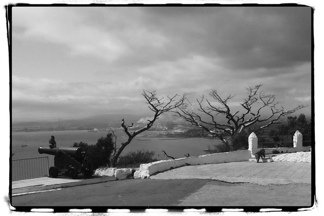 Private Day Trip to Gibraltar From Malaga or Marbella - Highlights of Gibraltar