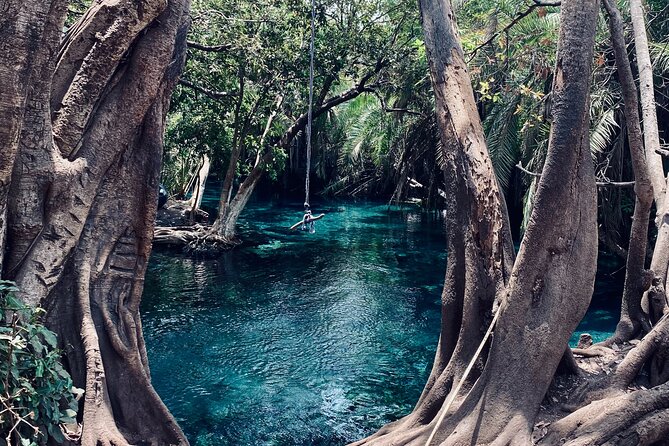 Private Day Trip to Kikuletwa Hot Springs in Kilimanjaro - Tips for Your Visit
