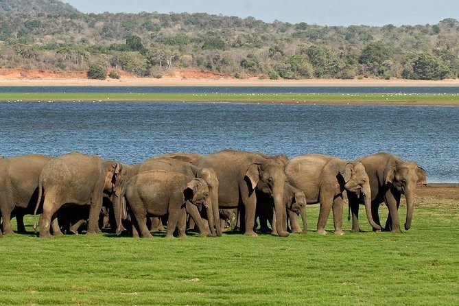 Private Day Trip to Pidurangala Rock & Jeep Safari From Colombo - Booking Information