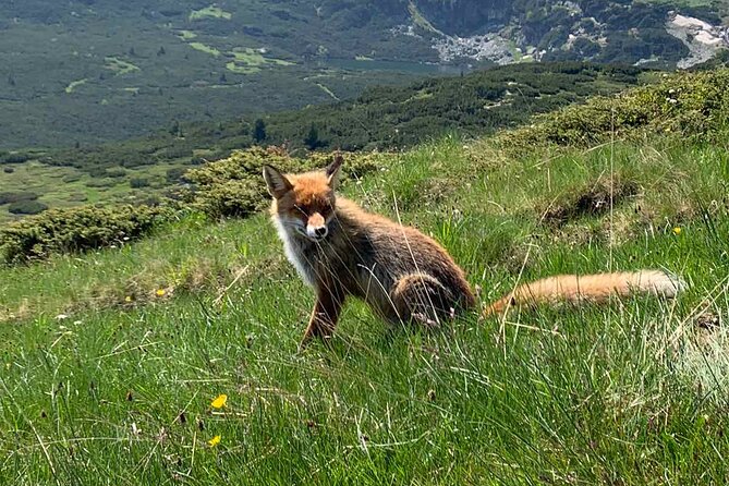 Private Day Trip to the 7 Rila Lakes With Hiking and SPA - Preparation Tips