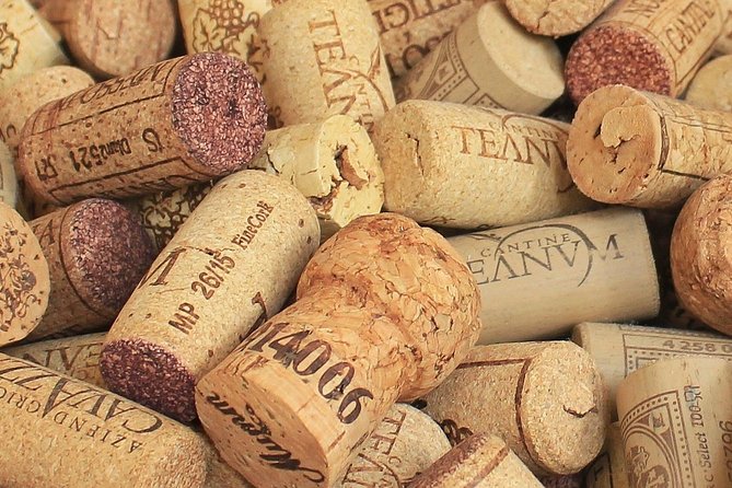 Private Day Trip Wine Tasting Tour Review - Since You Asked