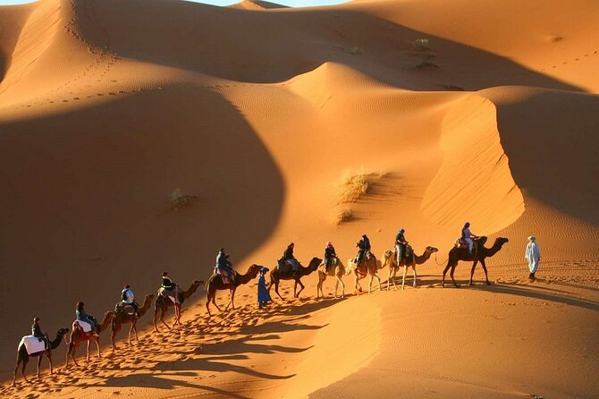 Private Desert Tour From Marrakech To Fes Via Desert Sahara - Pickup and Drop-off Details