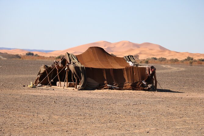 Private Desert Tour To Draa Valley And Zagora From Marrakech - Accessibility and Participation