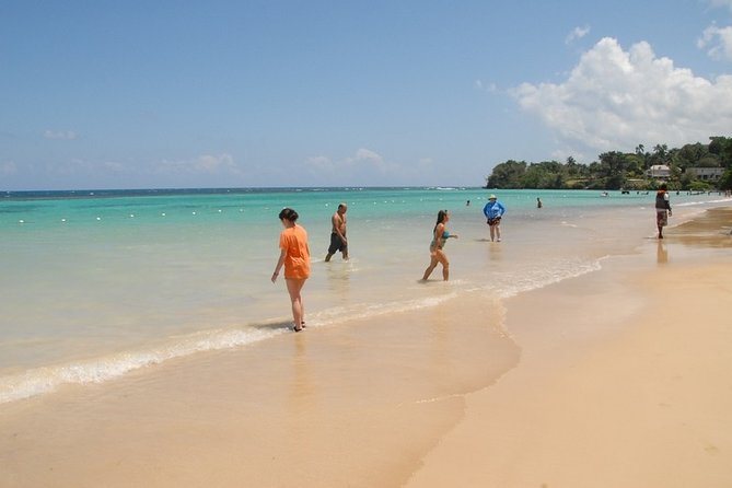 Private Dunns River Falls and Bamboo Beach Club Tour From Grand Palladium - Reviews