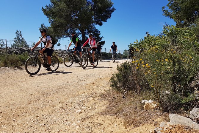 Private Ebike Tour to Calanques or City - Reviews and Recommendations