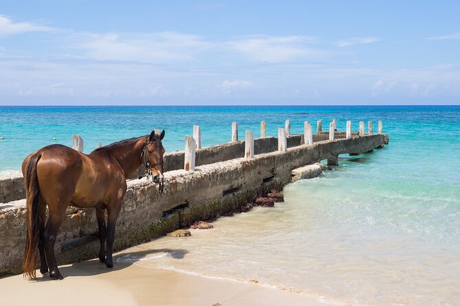 Private Experience Ocho Rios Horseback Riding, Rafting and ATV - Price and Guarantee