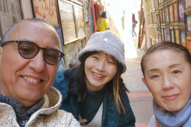 Private Fes Medina Walking Tour - Insights Into Fes Rich Culture