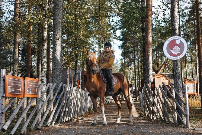 Private Finnhorse Riding in Rovaniemi, Finland With Guide - What to Expect During the Tour