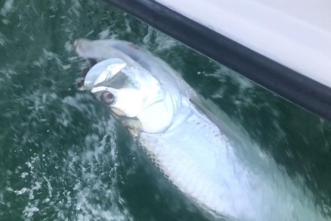 Private Fishing Charter From Ramrod Key - Targeting Diverse Species