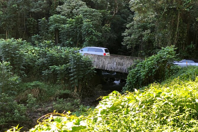 PRIVATE Full Circle Reverse - Luxury Road to Hana Tour From South Maui - Pricing and Policies