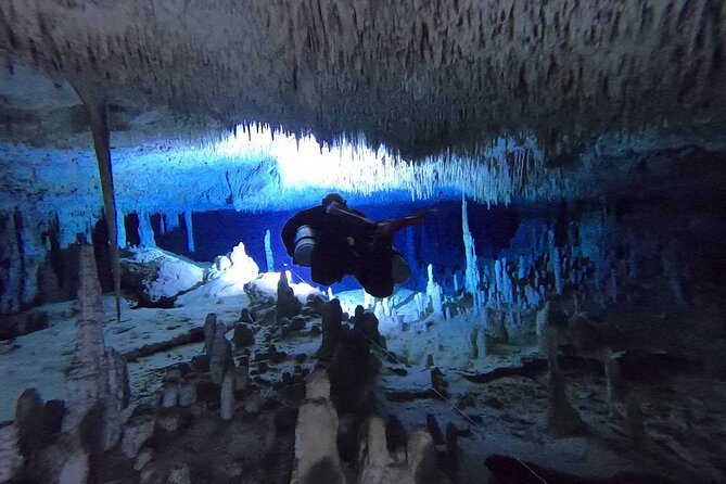 Private Full-Day Cenote Diving Experience 2 Dives With Lunch - Participation Suitability